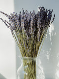 Dried Lavender Stems: Preserved Floral Bouquet Home Decor FLOWER DELIVERY