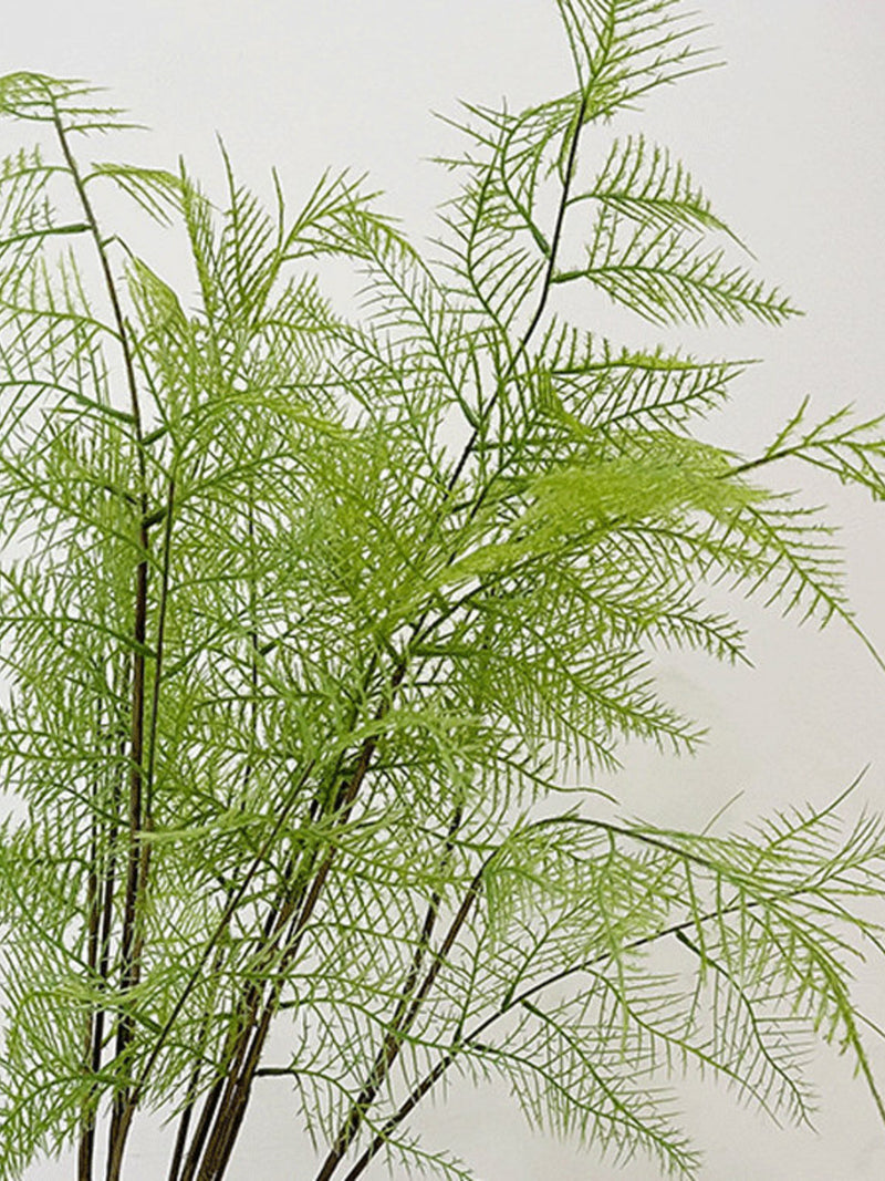 Artificial Plumosus Fern Stem, Fake Asparagus Setaceus Terrarium, Quality Greenery Arrangement, Exotic Plant Decor, Indoor Floral Decoration faux plants