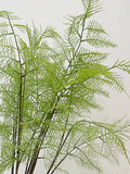 Artificial Plumosus Fern Stem, Fake Asparagus Setaceus Terrarium, Quality Greenery Arrangement, Exotic Plant Decor, Indoor Floral Decoration faux plants