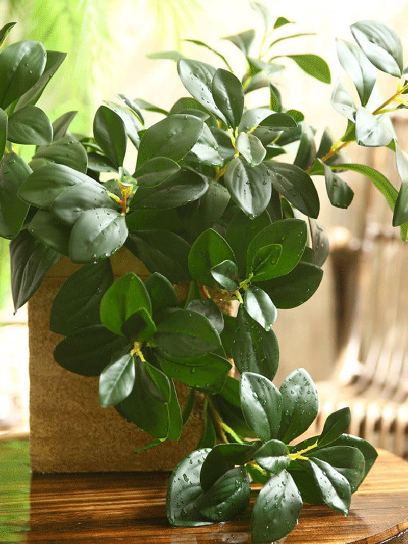 Artificial Peperomia Hope Stem, Quality Foliage Branch, Faux Plant with Leaf, Home Greenery Decor, Rustic Floral Arrangement, Realistic Twig faux plants