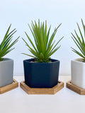 Small Artificial Succulent Plant in white, grey or black Hexagon Pot with Bamboo Tray - Fake Plant - Floating Shelve Decor - Cute Plant faux plants