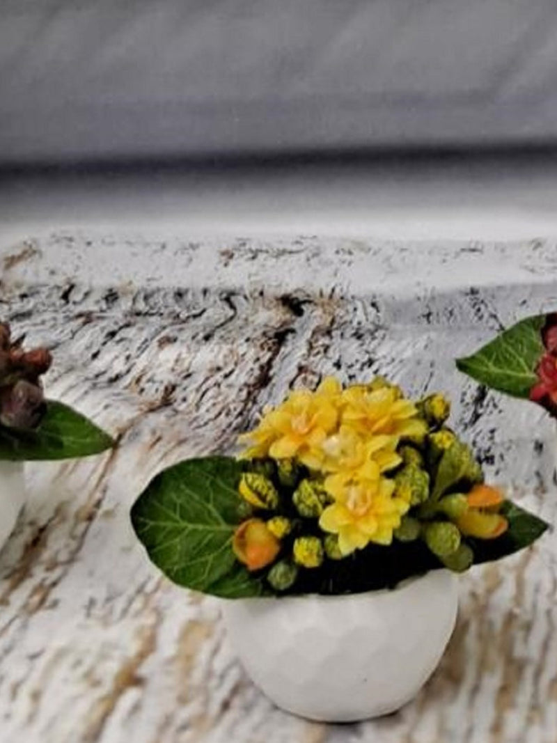 Set of 3 Tiny Blooming Silk Kalanchoe plants in geometric pattern pot. Red, Yellow and Mauve. Home decoration. silk flower