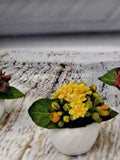 Set of 3 Tiny Blooming Silk Kalanchoe plants in geometric pattern pot. Red, Yellow and Mauve. Home decoration. silk flower