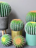 Artificial Ball Cactus, Desert Plant with Thorns, Home Tropical Greenery Decoration, Outdoor Garden Floral, Window Table Centerpiece Craft faux plants