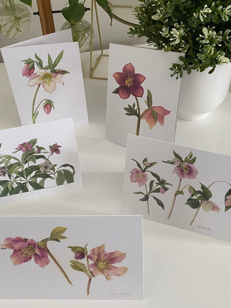 Set of 5 Cards - Hellebores, botanical art, watercolour paintings on cards flower spore