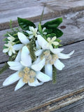 Edelweiss Pick, Flower of Love from the Sound of Music silk flower