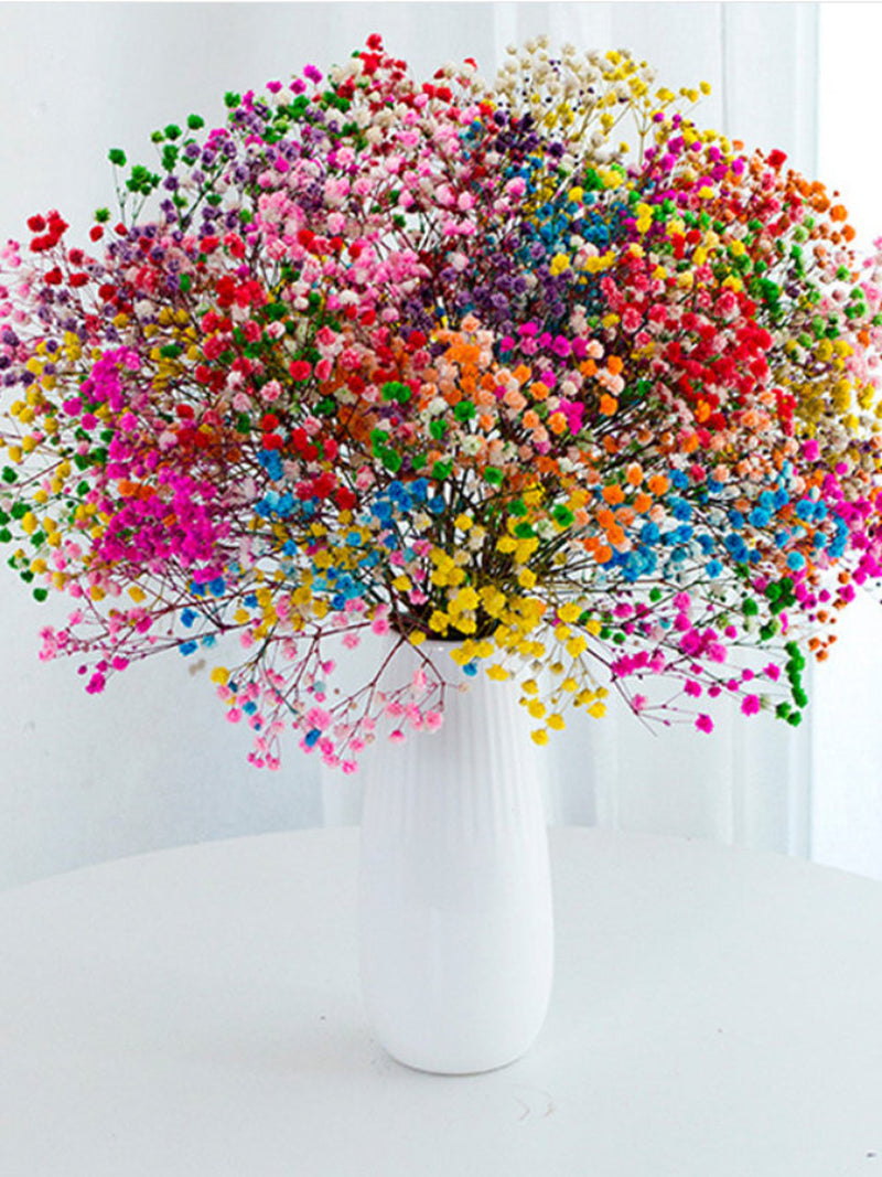 Preserved baby's breath dried flower bunch, multicolor tiny blooms in white vase