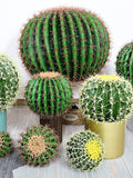 Artificial Cactus with Prickly, Faux Desert Opuntia Humifusa, Home Tropical Floral, Ball Shaped Plant Decor, Garden Greenery Arrangement faux plants