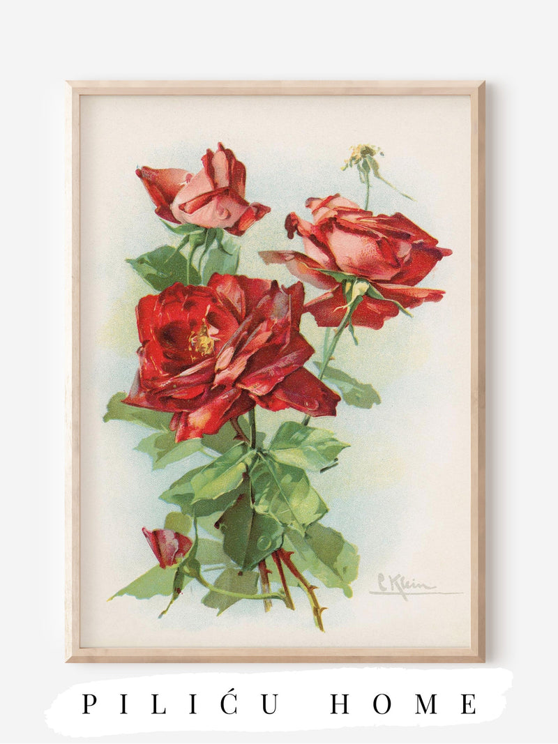 RED ROSES Antique Digital Print | Vintage Art | Flowers | Botanical | Love | Valentines Day | Mothers Day | French Home Decor | #03 Love Romance Flower