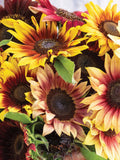 Daydream Sunflower Seeds: Unique Branching Variety Mix, 15 Seeds seeds bulk