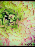 Ranunculus : floral photo shabby chic macro flower photography pastel green pink aqua spring summer home decor (square image up to 30x30) Love Romance Flower