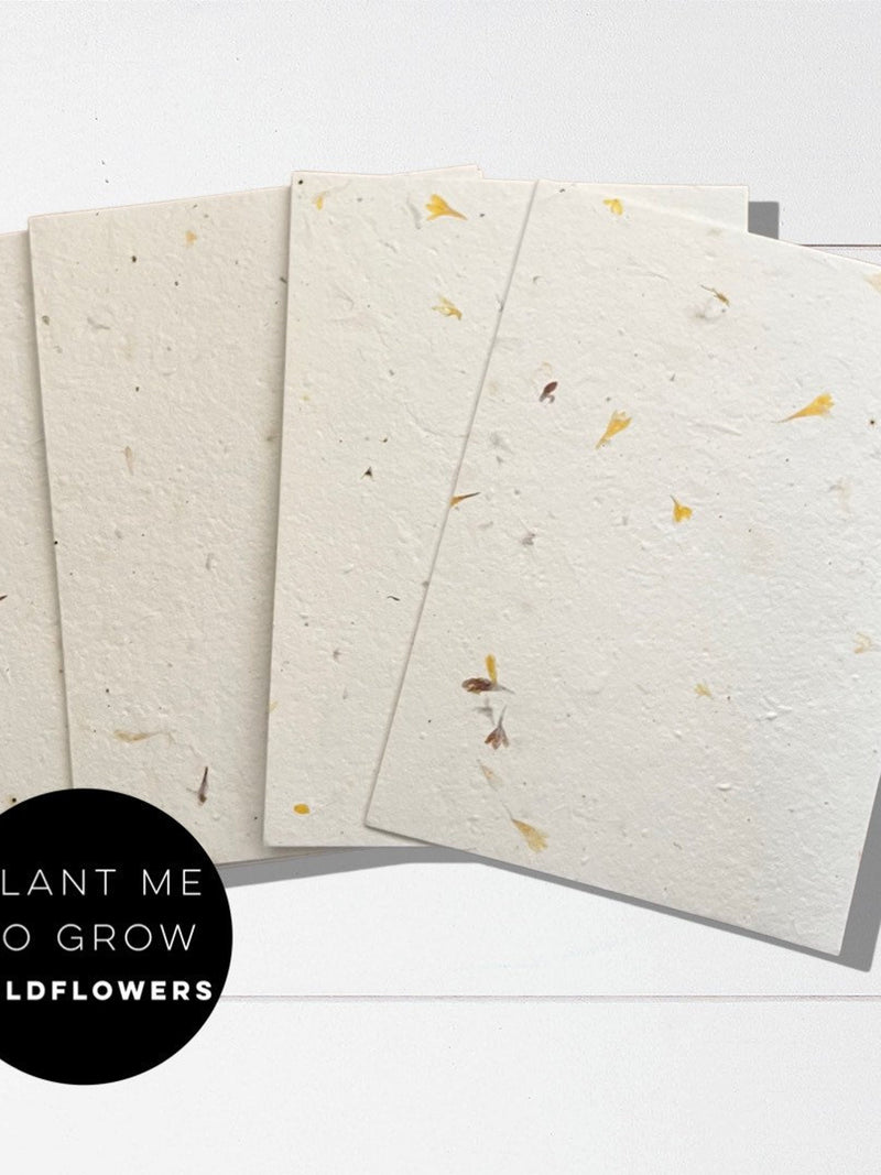 A4 Wildflower Seed Paper: Plantable Petal Paper, Eco Stationery seeds bulk