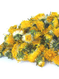 Organic Dried Dandelion Flowers - Taraxacum officinale - Hand Picked - LIMITED QUANTITY FLOWER DELIVERY
