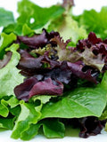 Spring Lettuce Mix Seeds - Organic & Non Gmo Seeds - Heirloom Lettuce Blend Seeds Ð Vegetable Seeds - USA Grown Seeds - Grow Your Own Food! seeds bulk