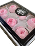 Wholesale Preserved Peonies: Ecuadorian XL Peonies FLOWER DELIVERY
