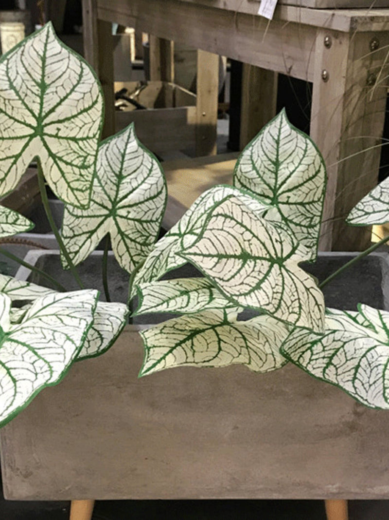 Artificial Caladium Plant, Fake Greenery with Foliage, Home Tropical Leafy Houseplant, Indoor White Christmas, Outdoor Garden Floral Decor faux plants
