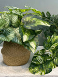 Artificial Greenery, Realistic Butterfly Palm, Fake Watermelon Leaf, Epipremnum Aureum, Indoor Tropical Plant, Living Room Floral Decoration faux plants