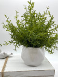 Small Fake Plant in White Geometric Pot, Artificial Plant Bathroom Counter Decor, Farmhouse Greenery for Shelf, Coffee Table Mini Decoration faux plants