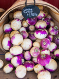 3000 Bulk Purple Top Turnip Seeds, Brassica campestris BR083M seeds bulk