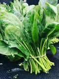 Bulk Heirloom Bloomsdale Spinach Seeds, Spinacia oleracea SP011C seeds bulk