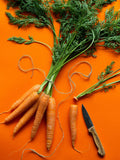 2000 Bulk Heirloom Carrot Seeds, Chantenay Red Core Carrot, Daucus carota DC032M seeds bulk