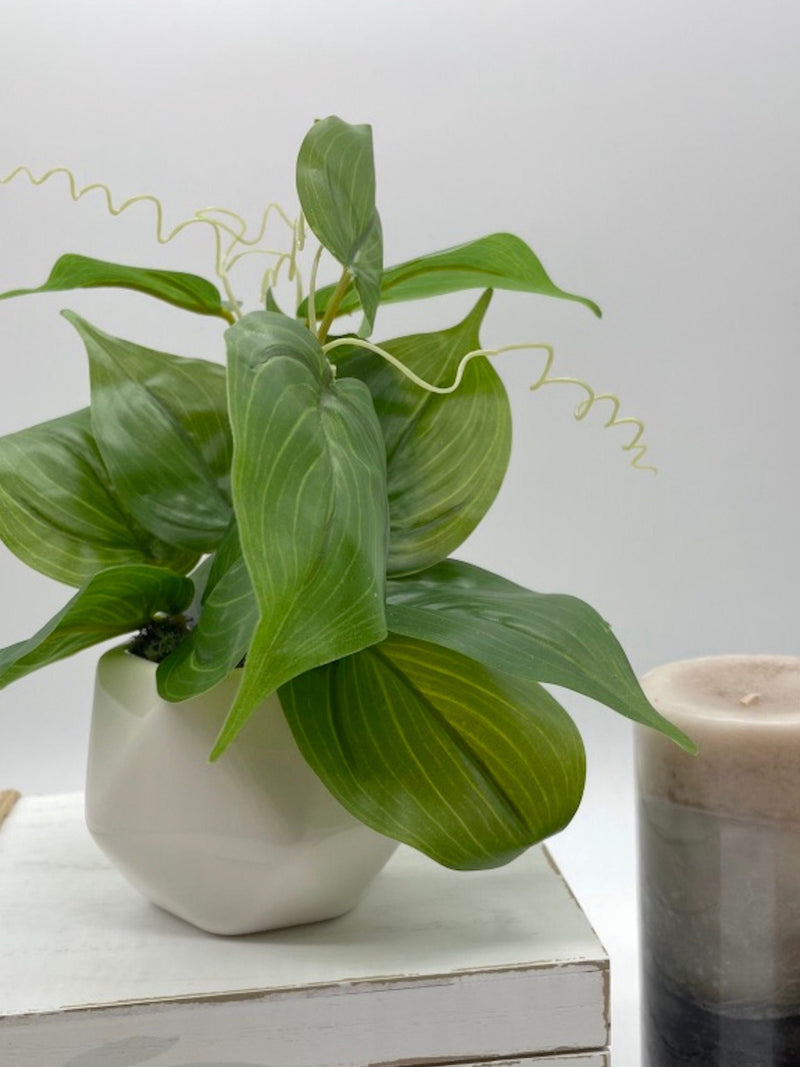 Fake Plant in Small Geometric Pot, Artificial Big Leaf Plant for Coffee Table, Faux Plants for Sofa Tray, Bathroom Shelf Greenery Decor Idea faux plants