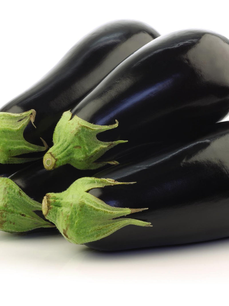 Black Beauty Eggplant Seeds - Organic & Non Gmo - Heirloom Seeds Ð Vegetable Seeds seeds bulk
