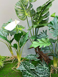 Artificial Monstera Plant with Root, Realistic Calathea with Fusion, Fake Philodendron Selloum, Indoor Lacy Tree Decor, Tropical Greenery faux plants