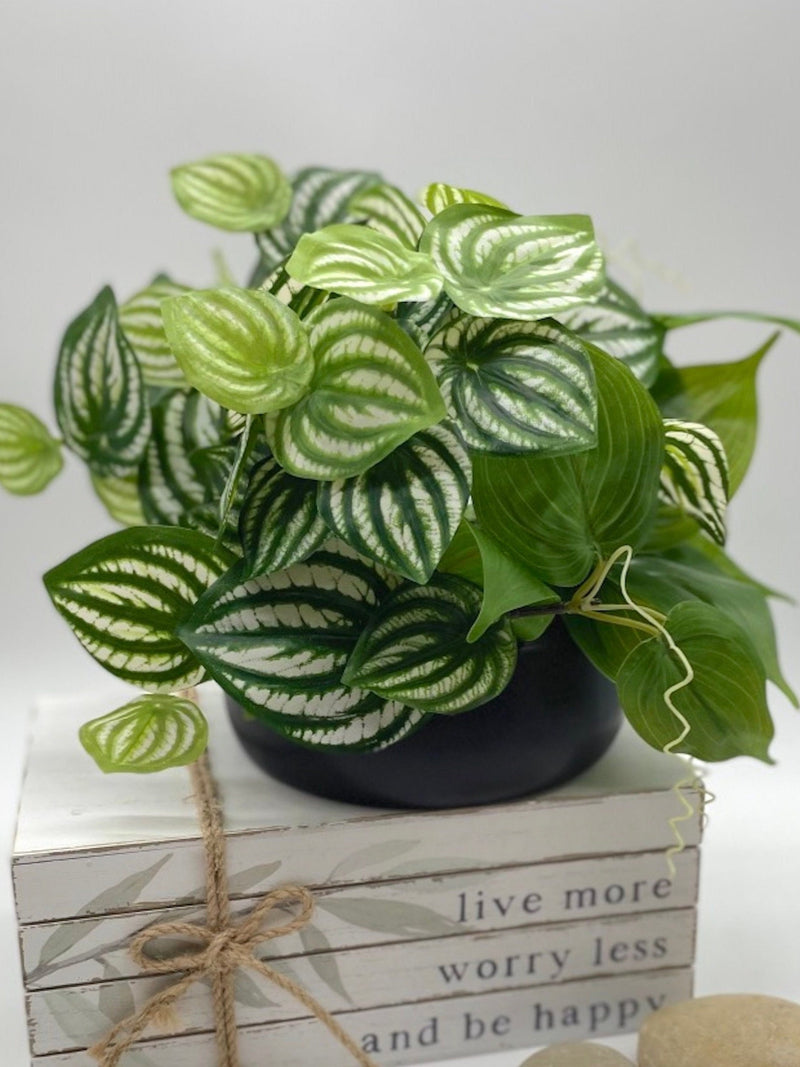 Faux Greenery in Black Ceramic Vase, Potted Fake Plants for Office Desk, Realistic Artificial Plant, Nearly Natural Potted Houseplants Gift faux plants