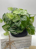 Faux Greenery in Black Ceramic Vase, Potted Fake Plants for Office Desk, Realistic Artificial Plant, Nearly Natural Potted Houseplants Gift faux plants