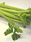 3000 Bulk Tall Utah Celery Seeds, Heirloom AP013M seeds bulk