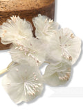 6 Organza Blossom 'Beatriz' Silk Flowers - For Fascinators, Millinery and Hat Making - Cream silk flower