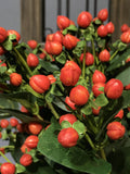 Artificial Hypericum Berry Stem, Fake Small Fruit Spray, Rustic Wild Fruit Floral, Living Room Flower Decor, Wedding Bridal Bouquet Filler flower spore