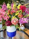 200 Snapdragon Rocket Seeds Mix, Untreated, Self-Sower flower spore