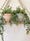 Artificial Eucalyptus Hanging Plant in textured Ceramic Pot - Faux Eucalyptus - Floating Shelve, Boho Decor Fake Plants faux plants