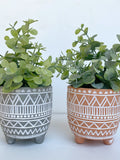 Artificial Eucalyptus Plant in textured Ceramic Pot - Faux Eucalyptus- Floating Shelve, Boho Faux Decor Plant, High Quality Fake Plants faux plants