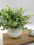 Artificial Eucalyptus in Small Ceramic Vase, Fake Plants Home Decor, Greenery Bathroom Counter Decoration, Desk Potted Plant, Faux Plant faux plants