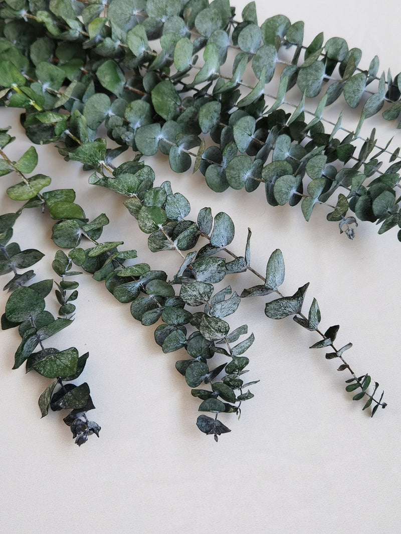 Preserved eucalyptus branches, DIY flower arrangement, family wedding anniversary decoration FLOWER DELIVERY