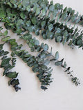 Preserved eucalyptus branches, DIY flower arrangement, family wedding anniversary decoration FLOWER DELIVERY