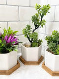 3 Small Artificial Plants in White Hexagon Pot with Bamboo Tray, Floating Shelf Decor Faux Plants, Fake Office Desk Plant High Quality faux plants