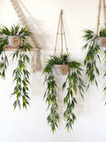 Hanging Faux Bamboo Plant in Handmade Concrete Pot - with Jute Twine or as Floating Shelve Decor - Farmhouse, Boho Decor faux plants