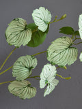 Plant Room Decor, Plant Decor Bedroom, Faux Green Plant, Faux Plant, Plant Pot Indoor, Realistic Faux Plant, Mothers Day Plant faux plants