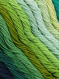 Green Shades Assorted Colours Seed Bead Set, 11/0 (2.2mm) Czech Seed Beads, 5 Hanks Select Your Colours! / GSB11-125 seeds bulk