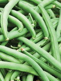 Tendergreen Improved Green Bush Bean Seeds | Heirloom | Organic seeds bulk