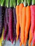Vegetable Seeds 250+ Rainbow Blend Carrot Seeds - Non-Hybrid - Non-GMO - Perfect For Saving Year After Year- All Canadian Heirloom Seeds seeds bulk