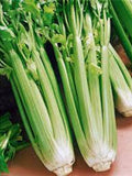 Vegetable Seeds 1000+ Utah Tall 52 -70 Celery Seeds- Heirloom All Canadian Heirloom Seeds seeds bulk