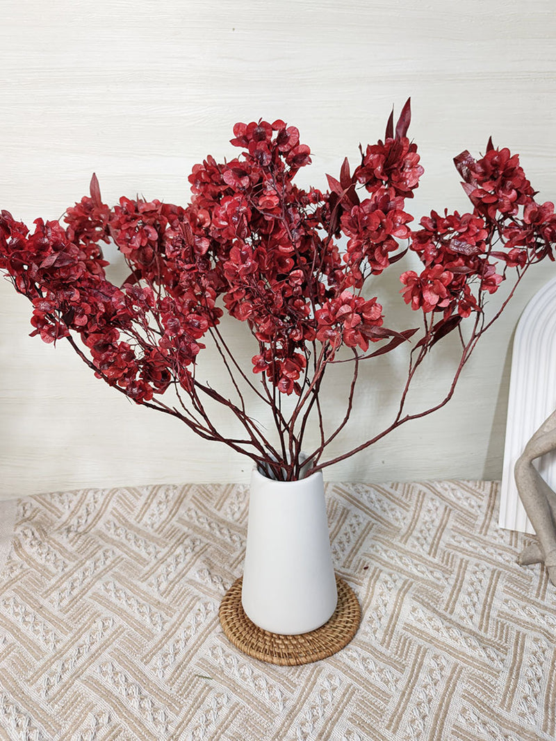 Preserved red dried flower bundle with slender stems in white vase