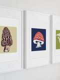 Mushroom Art Prints: Hand-Drawn Foraging Botanical Wall Decor - 11 x 14 inch flower spore