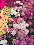 Pink Fairy Candytuft Garden Seeds - Cute Fragrant Annual Garden Flowers flower spore