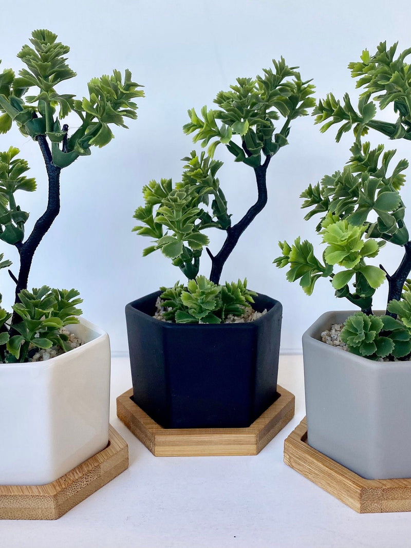 Small Artificial Bonsai Plant in white, black or grey Hexagon Pot with Bamboo Tray, Floating Shelve Decor, Kitchen Counter Deco, RV Deco faux plants